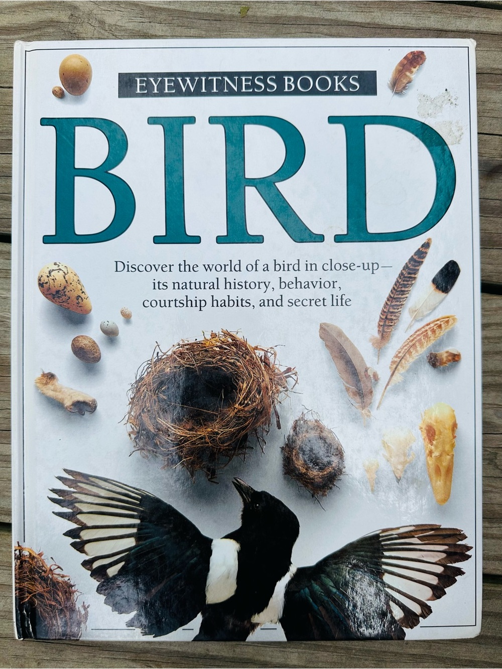 BIRD Eyewitness Book